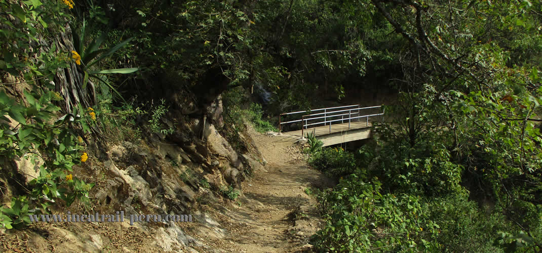 Choquequirao Trek cloud Forest